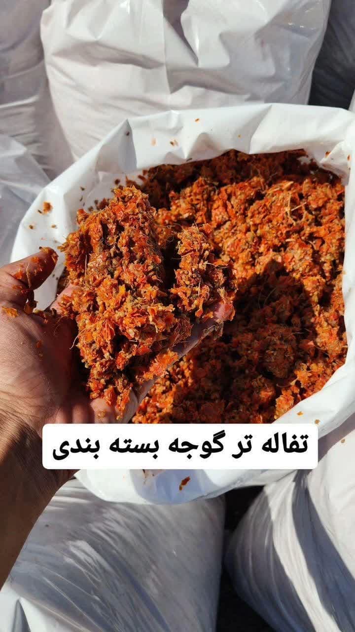 تفاله گوجه تر