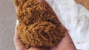 انالیز تفاله گوجه خشک