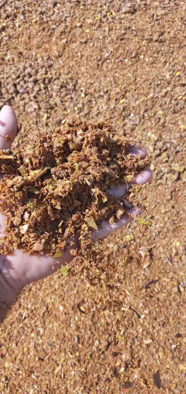 انالیز تفاله سیب درختی خوراک دام