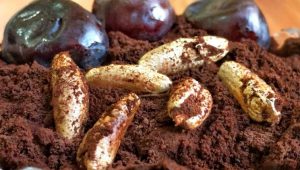 تفاله خرما برای دام