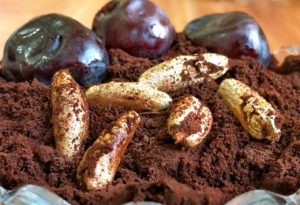 تفاله خرما برای دام