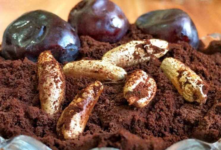 تفاله خرما برای دام